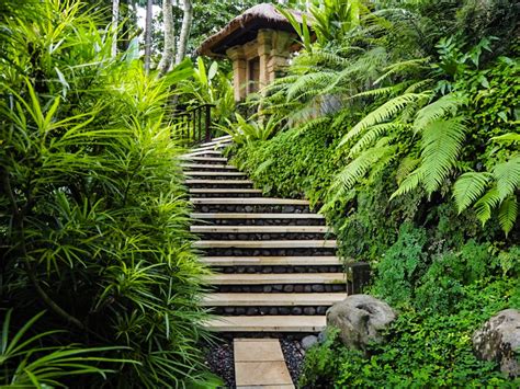 Como Uma Ubud Luxury Retreat Resort Bali The Fit Traveller