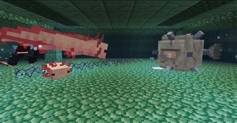 Minecraft Como fazer um Axolote procriar e como alimentá los