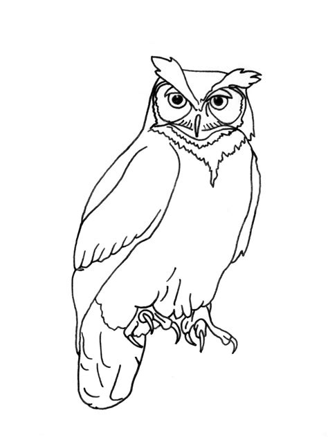 Eyes are a beautiful subject to draw—a lot of different materials are combined in them, and they look like take the blending stump and subtly blend the outline of the iris. Realistic Great Horned Owl Outline | www.galleryhip.com ...