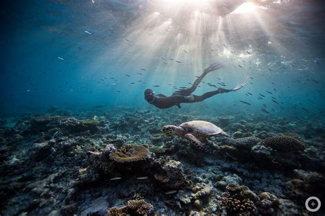 Meet The Free Diving Couple Who Dives Without Scuba Gear