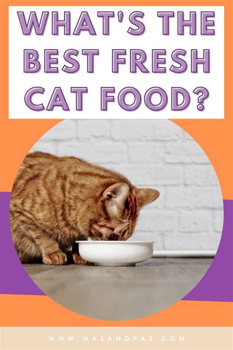 It's one among countless young brands that are using the subscription model to bring something new to an essential product. Nom Nom vs Smalls: Which is the Best Fresh Cat Food ...