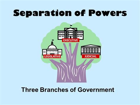 Constitution, fundamental rights as well as federalism. Separation of Powers Three Branches of Government ...