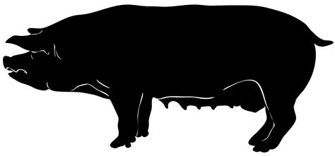Show Pig Silhouette At Getdrawings Free Download