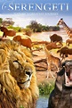 Serengeti: Natures Greatest Journey (película 2015) - Tráiler. resumen ...