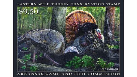 outdoors arkansas turkey stamp promotes habitat conservation and awareness