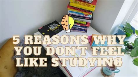 5 Reasons Why You Dont Feel Like Studying And How To Fix Them