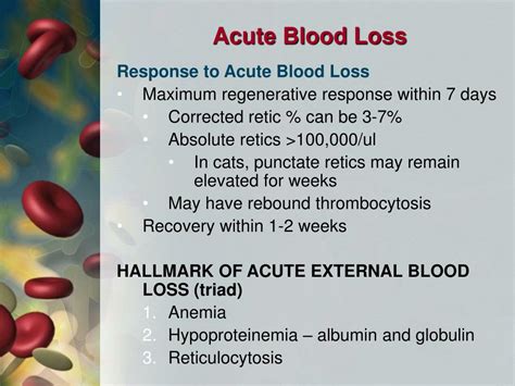 Ppt Practical Hematology Blood Loss Anemia Powerpoint Presentation