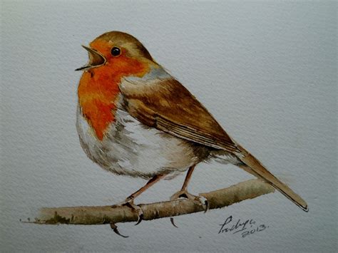 Red Robin Bird Drawing At Getdrawings Free Download