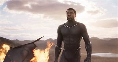 Wakanda Panther Marvel Studios Wallpapers Trailer Official