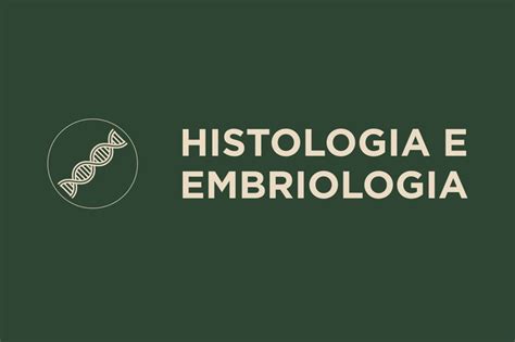 Histologia E Embriologia 1824 The Best Porn Website
