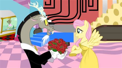 Bride Of Discord Fluttershy My Little Pony Friendship Pony