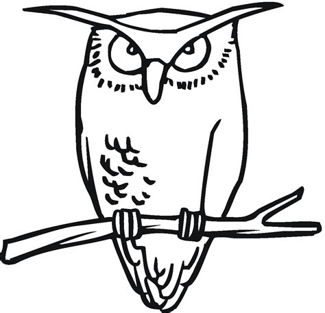 Cartoon Owl Coloring Pages