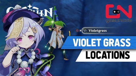 Genshin Impact Violet Grass Locations Qiqi Ascension Youtube