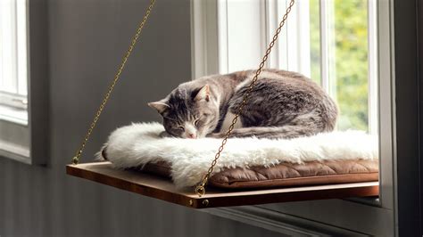 Wrap in batting, starting with stapling in the center of each side and working way to. Cat Window Perch | Martha Stewart