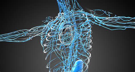 10 Ways To Improve Your Lymphatic System Function