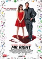 Mr. Right - film 2015 - AlloCiné
