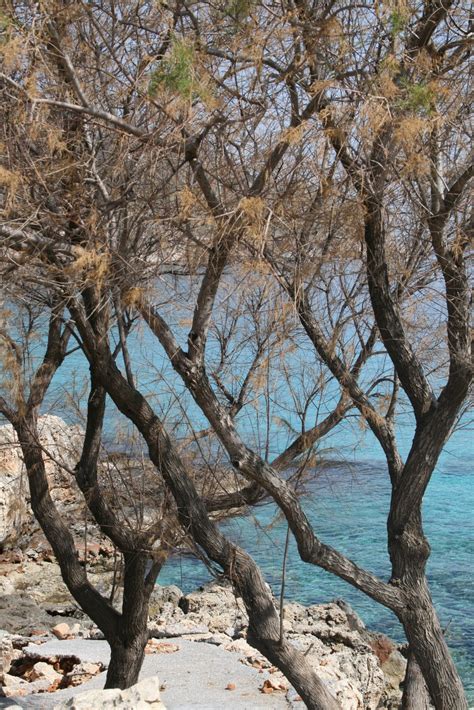 Υποψήφιος δημοτικός σύμβουλος κορυδαλλού με συγκεκριμένες προτάσεις για την «επόμενη. kokkino xorio: ΟΜΠΡΟΣΓΙΑΛΟΣ ΑΠΡΙΛΙΟΣ 2011 (ΚΕΦΑΛΑΣ ΧΑΝΙΩΝ)