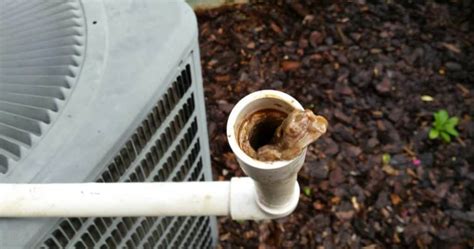 What To Do With An Air Handler Leaking Water Reinhold Weber