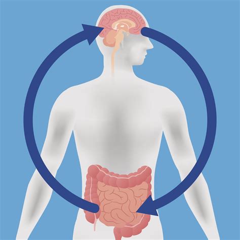 brain gut connection explains why integrative treatments can help relieve digestive ailments