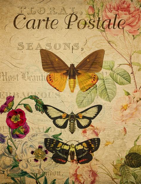 Butterflies Vintage Floral Postcard Free Stock Photo Public Domain