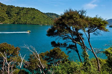 Sfondi Nuova Zelanda South Island Natura Fiumi