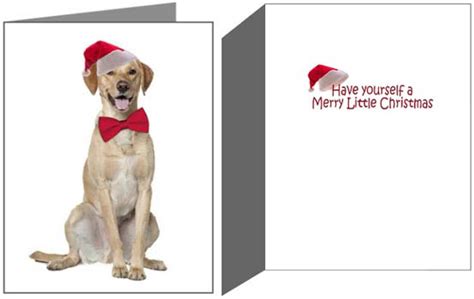 Labrador Retriever Christmas Cards Ornaments And Decor