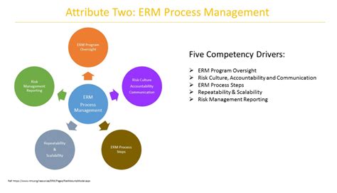 196 Decoding The Rims Risk Management Maturity Model Part Ii