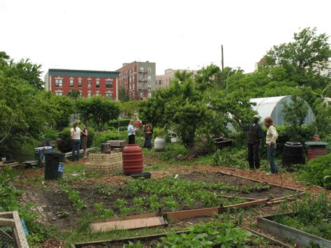 Introduction Urban Agriculture And Community Gardens