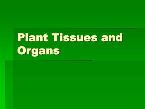 Ppt Plant Tissues And Organs Powerpoint Presentation