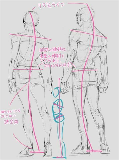 Pin by OTTO on DIBUJÓ Figure drawing reference Anatomy drawing