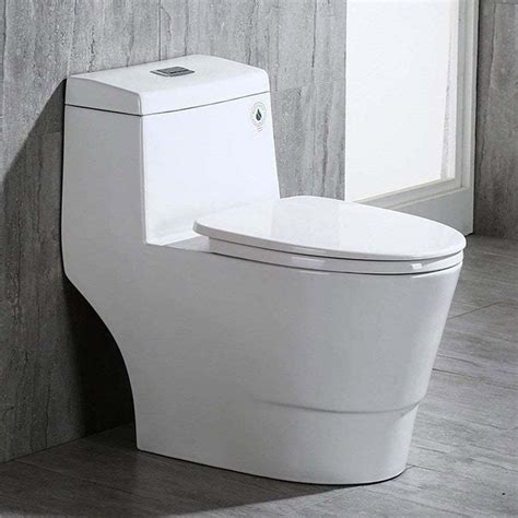 The Top Most Popular Dual Flush Toilets