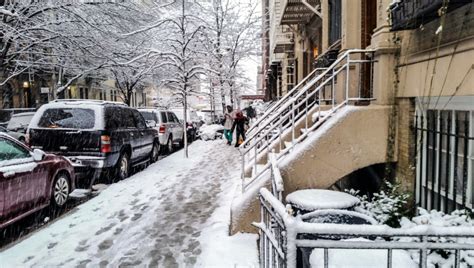 New York City During Snow Storm Snow Expert Witness Services