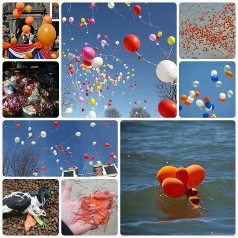 Balloons Kill Wildlife Never Release Balloons Balloons Balloon Release Painting