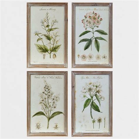 Botanical Framed Print Set Of 4 Framed Botanical Prints Botanical