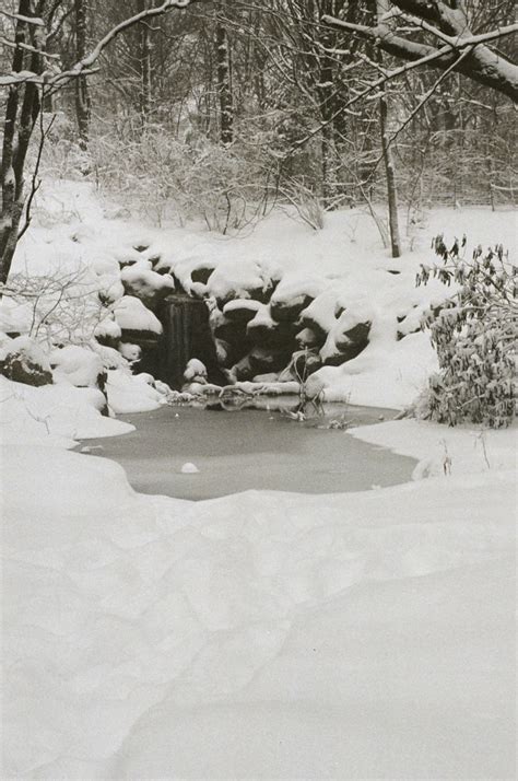 Waterfall Prospect Park Ravine Brooklyn Fuji Natura 1600 Flickr