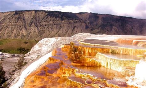 Mammoth Hot Springs In Yellowstone Alltrips