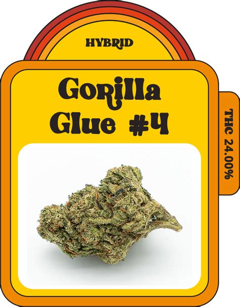 Gorilla Glue 4 Kush House