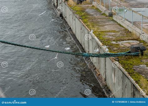 Part Of Pier With Anchor Stock Photo Image Of Engineering 137858834