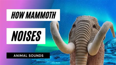 The Animal Sounds Mammoth Noises Sounds Effect Animation Youtube