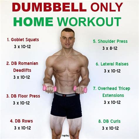 Pin By Lydia Ingram On Health And Fitness Full Body Dumbbell Workout