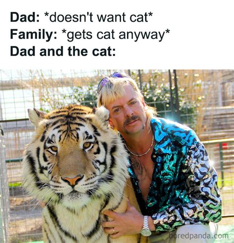 80 best memes inspired by the tiger king laptrinhx