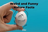 14 Weird and Funny Nature Facts