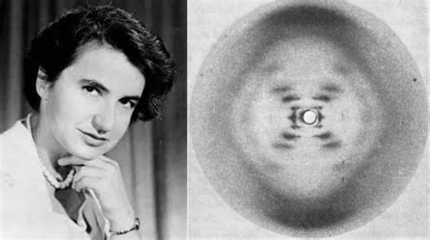 Rosalind Franklin La Historia De La Fotografía Que Cambió La Biología