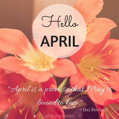 Happy April Month Quotes Shortquotescc