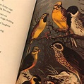 The Bedside Book of Birds: An Avian Miscellany by Graeme Gibson | Goodreads