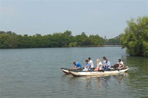 Koggala Lake Tour Boat Ride Sri Lanka Day Tours