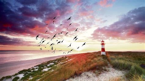 Für Echte Erholung Am Meer Muss Man Nicht Weit Fliegen An Der Nordsee