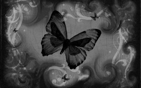 Dark Butterfly Wallpapers Wallpaper Cave