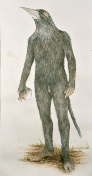Bunyip An Australian Mythical Creature Envisaged Colour Pencil And
