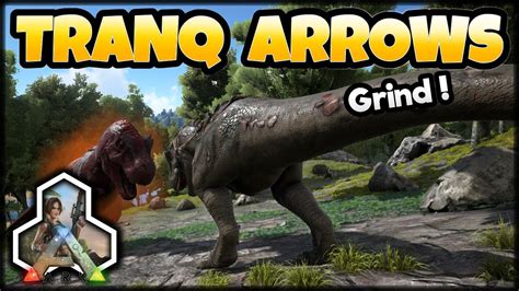 Ark Survival Evolved Tranquilizer Arrow Grind PS4 Console Edition